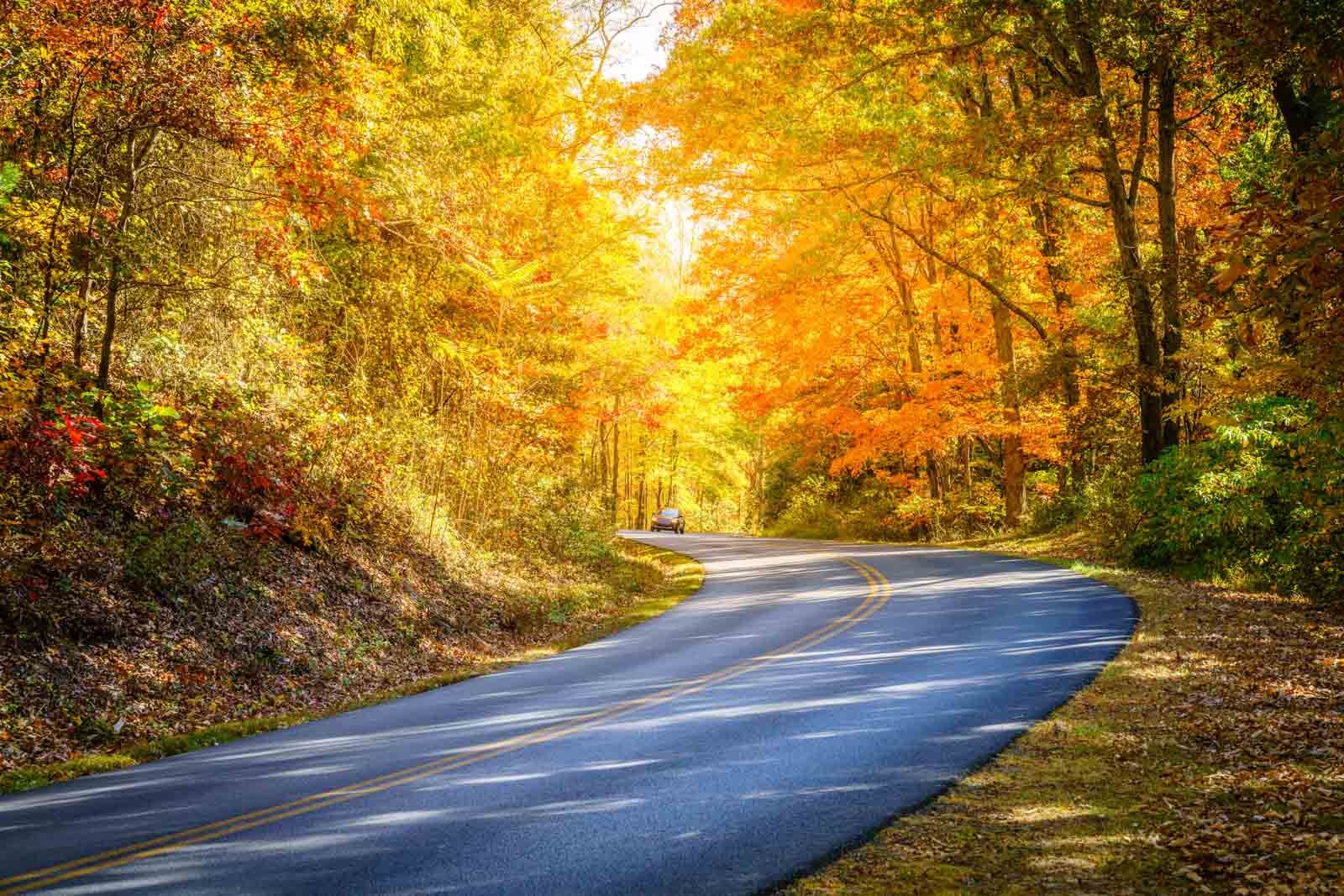 Driving through the fall colours driving the Blue Ridge Parkway on the outskirts of Asheville, North Carolina